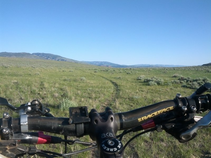 The grassy part of the ride. During spring riding, when this photo was taken, some of the trails can get pretty obscured by the green. It never lasts for long.