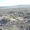 The top of "Oly's". There is some difficult terrain in here. There are many line options. Aim for the jumble of boulders in front of you and stay towards your left. The plan is to turn this ridge into a free ride area in the next year or two.