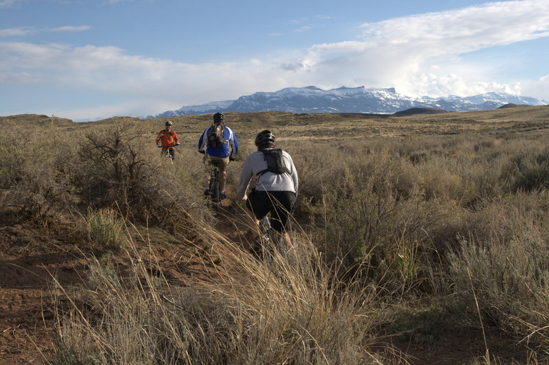 Classic Wyoming sage brush slalom riding on "Red Snake. Carter Mountain in the background.