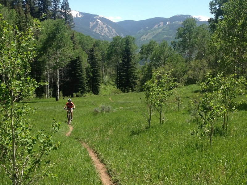 Great meadows and views of Beaver Creek