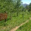 Site of the Avon Ranger Station from 1907-1930.  Nice place for a cabin in the woods!