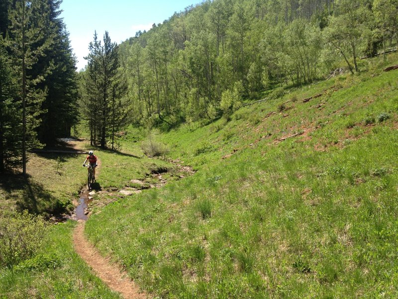 A welcome rideable section near the big meadow at Nottingham Trail junction.