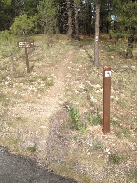 start of the loop trail