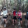 Panorama, part of the White Mountains Trail System, on a mellow, singletrack section of the trail.