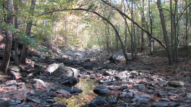 Beautiful cove at the end of the Cutchenmine Trail.