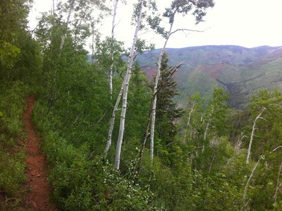 View from an opening in the trees along the Shadyside trail.
