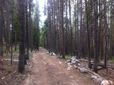 FS Road 131