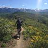 Rider on Skyline Ridge trail