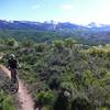 Rider on Viewline trail