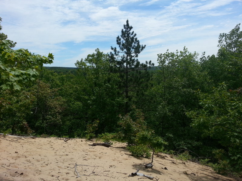 A view from a dune; North Country Trail, MI