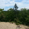 A view from a dune; North Country Trail, MI