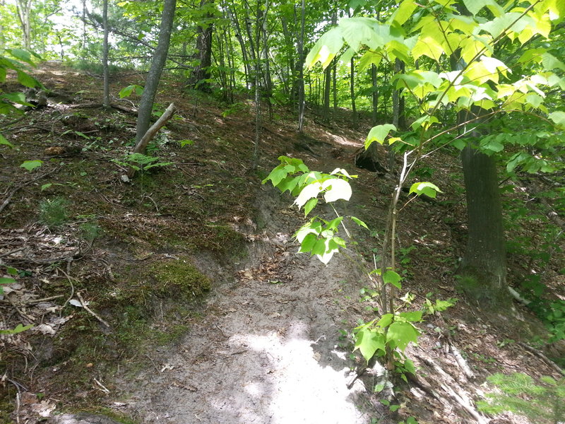 Some climbs here are too steep and/or too sandy to ride