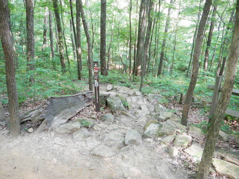 Schooner entrance.  Yes, it's down those rocks.