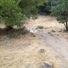 Heading up the Spring Creek Trail. Starting to get steep.