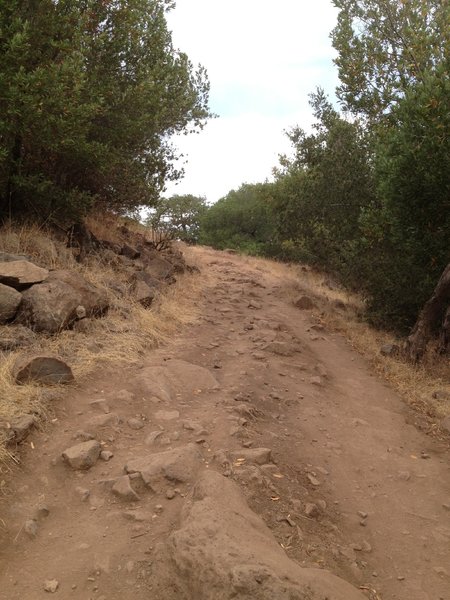 The Spring Creek Trail close to Lake Ilsanjo. Very steep and very rocky.