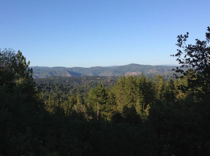View of the Tuolumne Canyon from the Mary Laveronia Park Trail in Groveland CA.