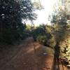 Dirt doubletrack road on the trail behind Mary Laveroni Park in Groveland, CA