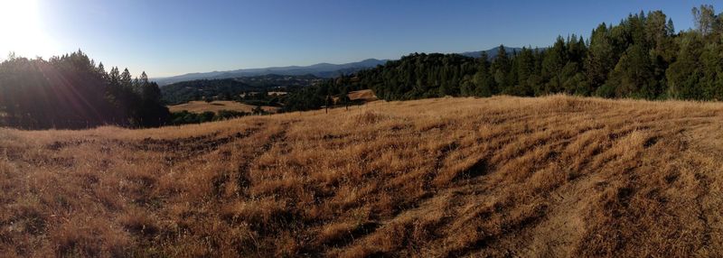 Panoramic view of the Tuolumne Canyon right off Deer Flat Road on the Mary Laveroni Community Park Trail in Groveland, CA.  This is the best view on the trail!