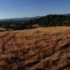 Panoramic view of the Tuolumne Canyon right off Deer Flat Road on the Mary Laveroni Community Park Trail in Groveland, CA.  This is the best view on the trail!