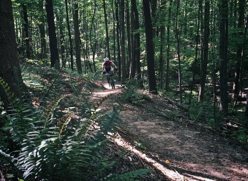 On Laurel Loop.