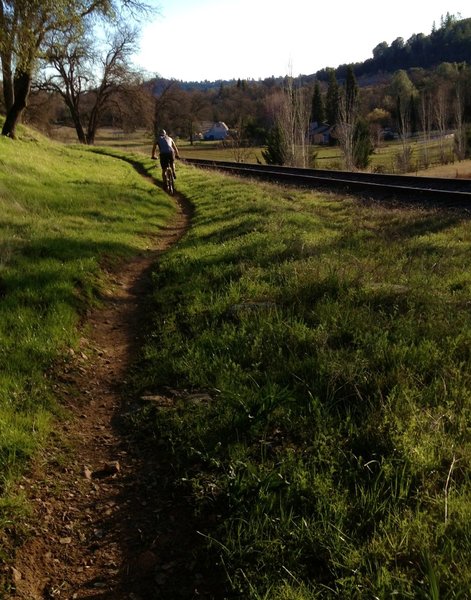 swoopy singletrack