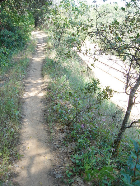 nice singletrack above the rails