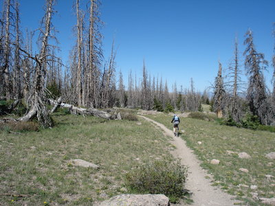 Brian head Peak Trail