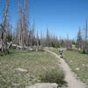 Brian head Peak Trail