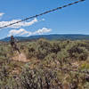 Remnants of the (actual) Eagle Ranch.