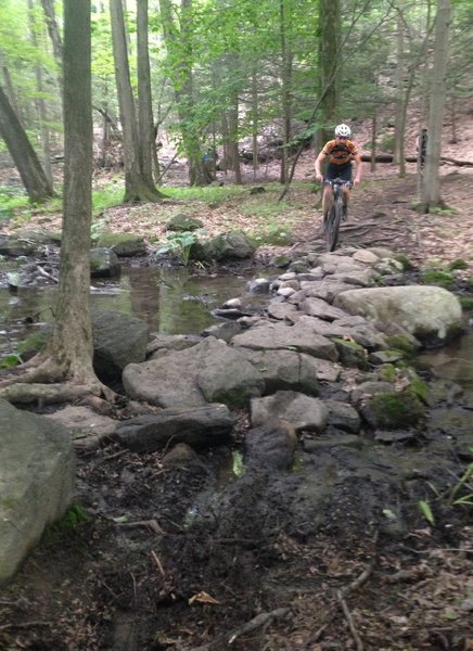 Negotiating a rock stacked stream crossing