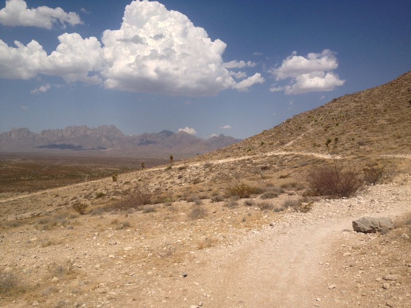 Nice views of the Organ Mountains to be had