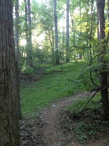 Fast and flowy in a beautiful forest setting, Seneca Ridge trail has something for every ability including a short gravity section with some big berms.
