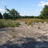 Flat Rock, the namesake of the Flat Rock Trail.