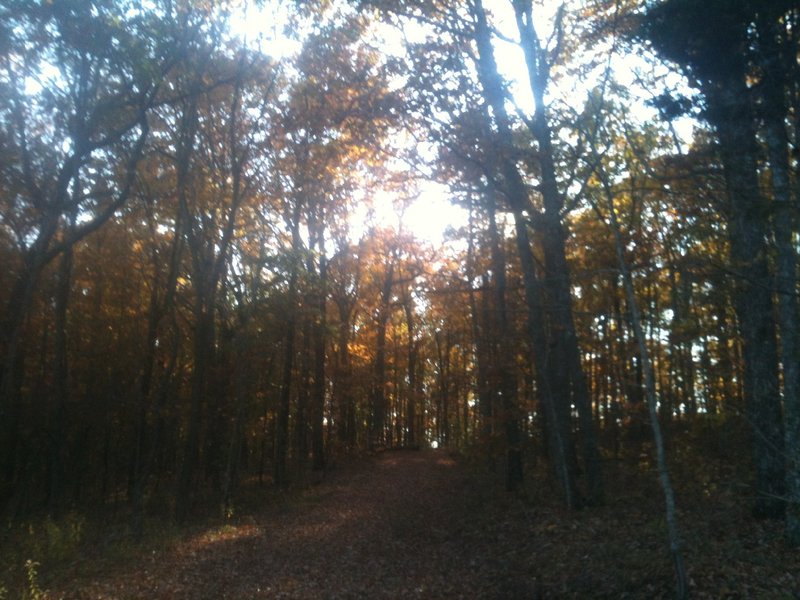 The Gravel Road Trail in the fall.