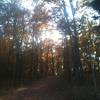 The Gravel Road Trail in the fall.