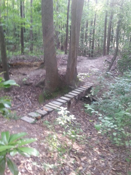 Skinny bridge over a 3 foot gully.