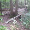 Skinny bridge over a 3 foot gully.