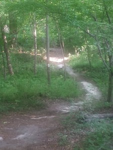 Little A-frame over the crick. Catch some mad air brah.