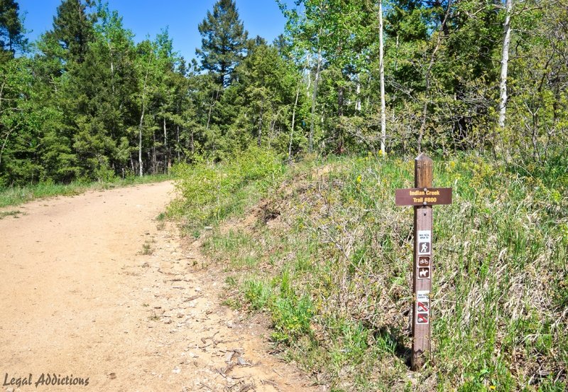 Indian Creek Trail #800 - follow these signs for the first 10 miles of the ride.  Follow the dirt road shown in the photo