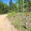 Indian Creek Trail #800 - follow these signs for the first 10 miles of the ride.  Follow the dirt road shown in the photo