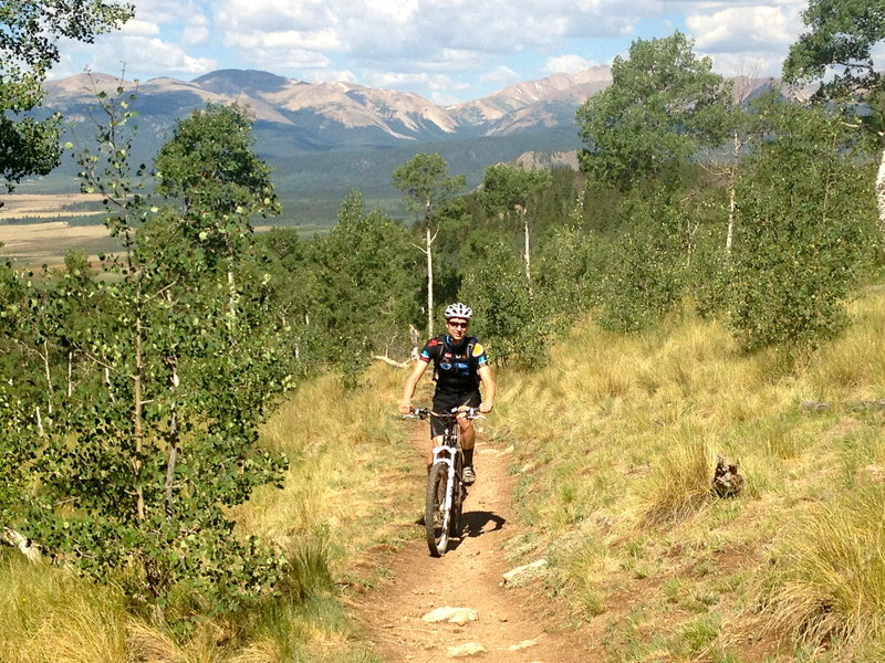 After an easy initial climb through the forest, you emerge in a sparse aspen grove with a great descent and views.