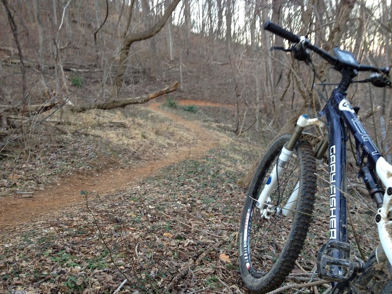 Berm on the Woodthrush/Star Connector