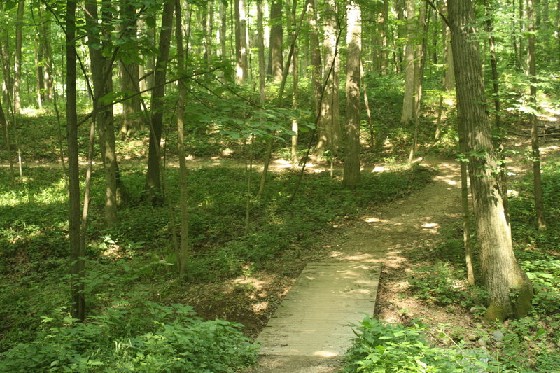 Turn left to cross the bridge on the wide trail, then turn left right after the bridge.