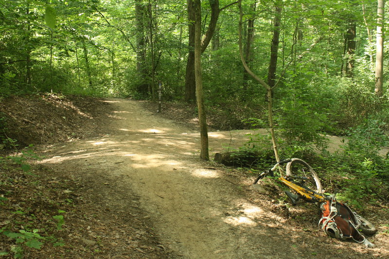 Head straight to continue down the Lawrence Creek Trail.  Make a hard right turn to take the Lawrence Creek Connector to the parking lot and to head towards Schoen.