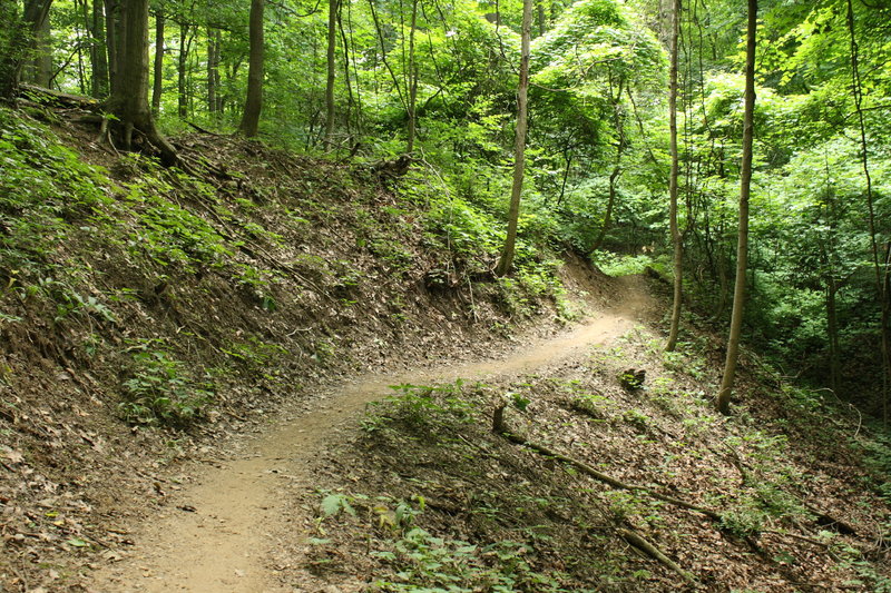 A bit of exposure on a narrow section of trail with a deep bench cut.  Many riders go down here.