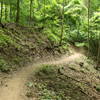 A bit of exposure on a narrow section of trail with a deep bench cut.  Many riders go down here.