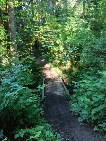 Bridge along Devil's Slide