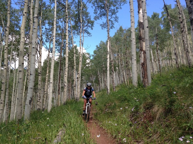 Nice descent through the aspens.