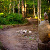 The Patsy Lake trail has some great flowing singletrack.