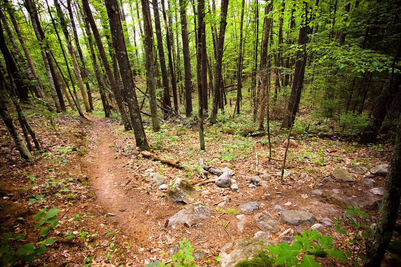 Rock Lake singletrack